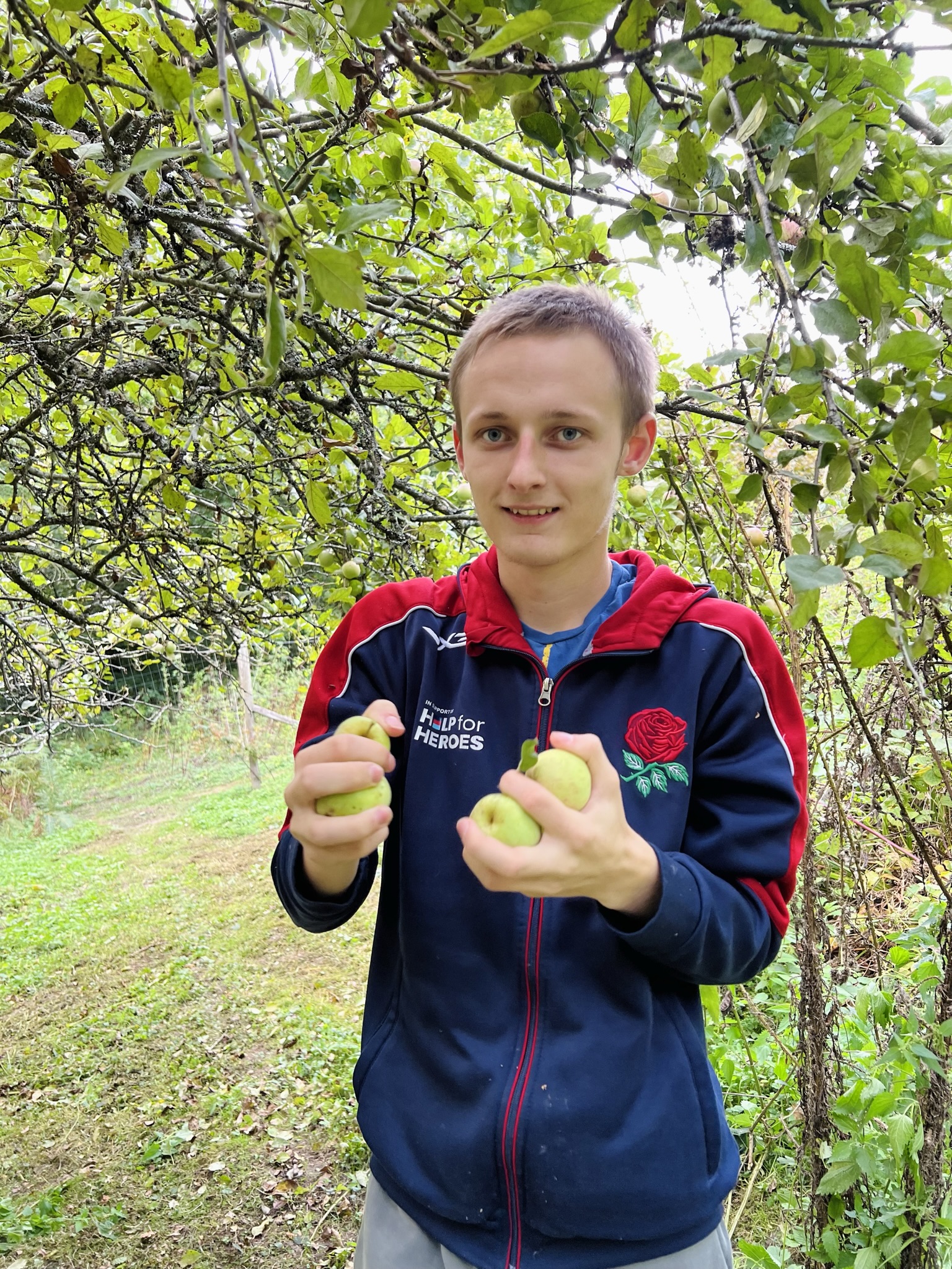 A student in our orchard gathering apples